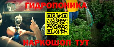 jwh Можга