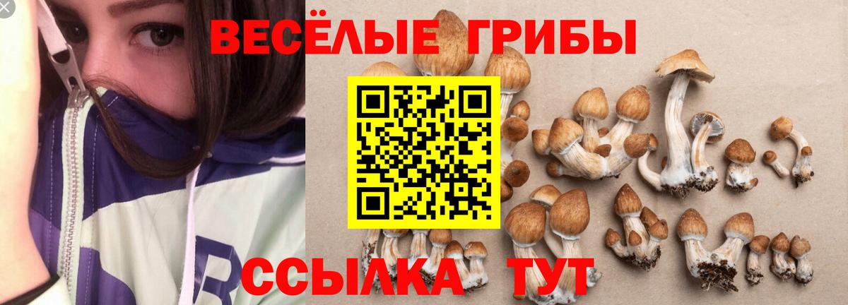 Тимашёвск  Галлюциногенные грибы Psilocybine cubensis  Вход с VPN  Галлюциногенные грибы мухоморы 